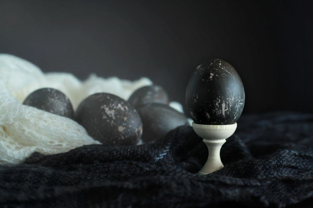 Photograph by Julia Filin