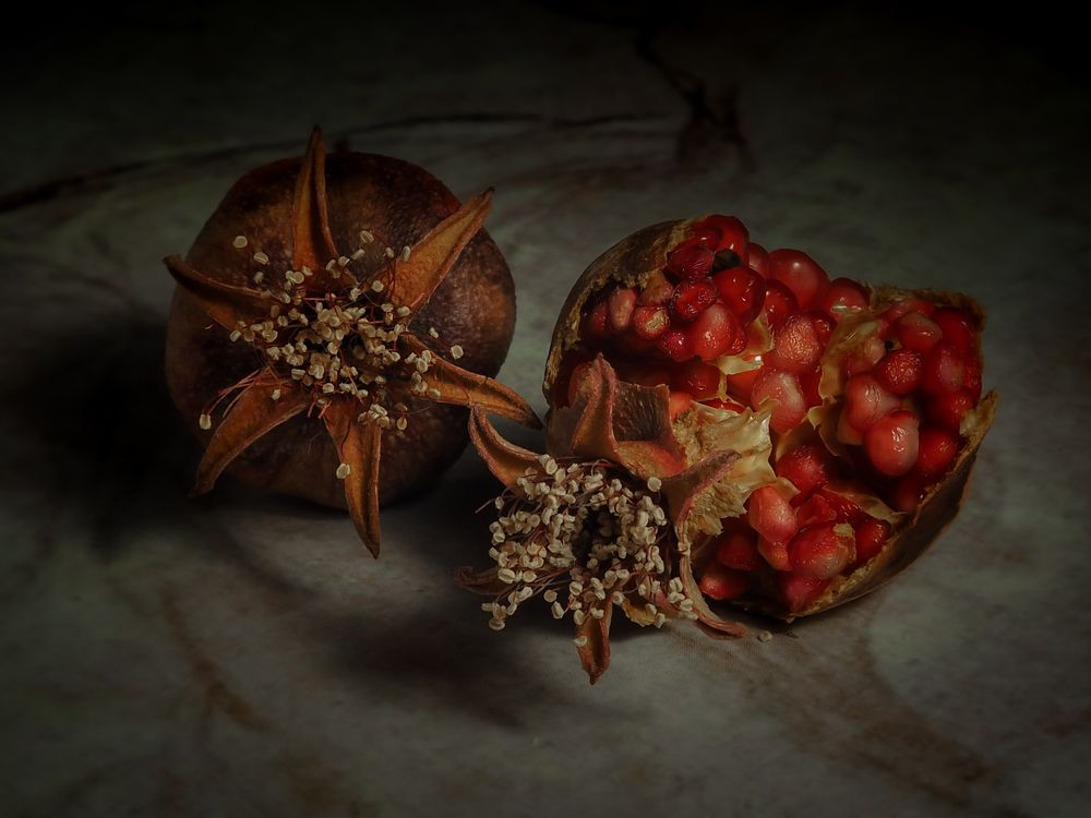 Photograph by Natalia Novikova