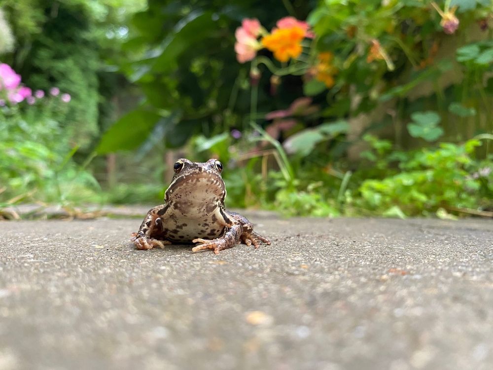 Photograph by Анна Шекурова