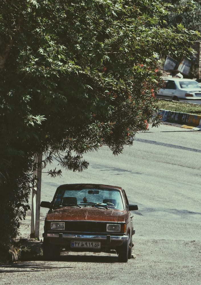 Photograph by Masoumeh Rahimi