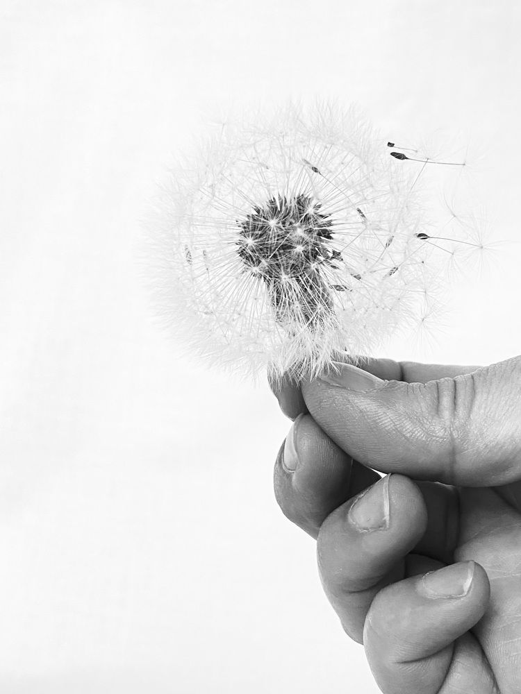 Photograph by Оксана Сидоренко