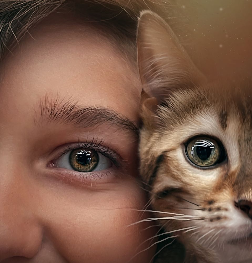 Photograph by Karen D'Lucca