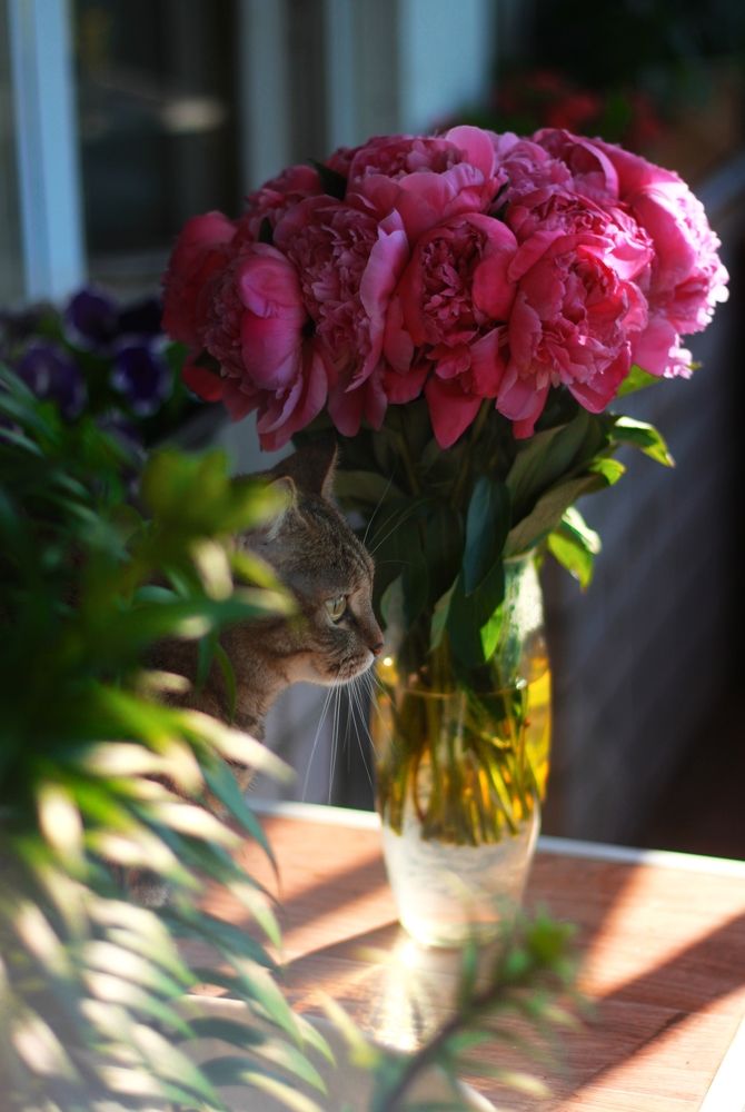 Photograph by Алёна Горбылева