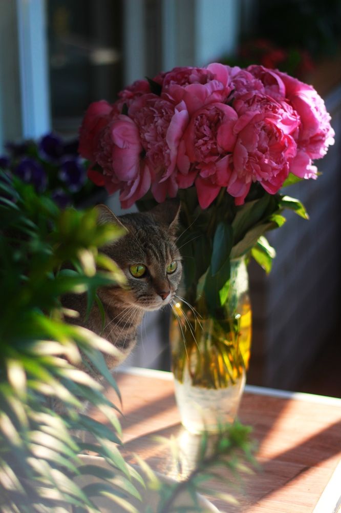 Photograph by Алёна Горбылева