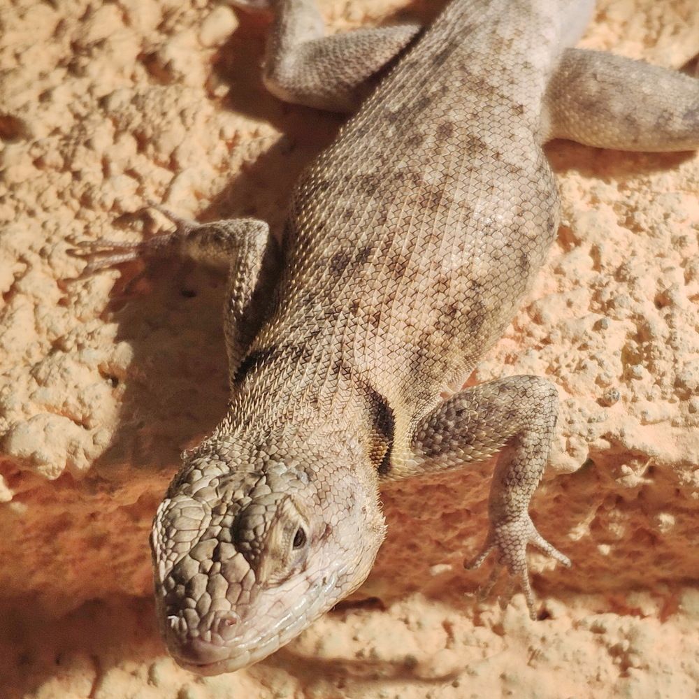 Photograph by Marzio Fattorini