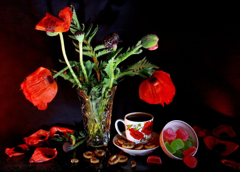 Фотография автора Nelya  Lysenko