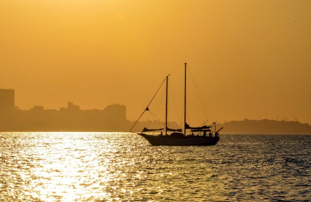 Photograph by Andre Nunes