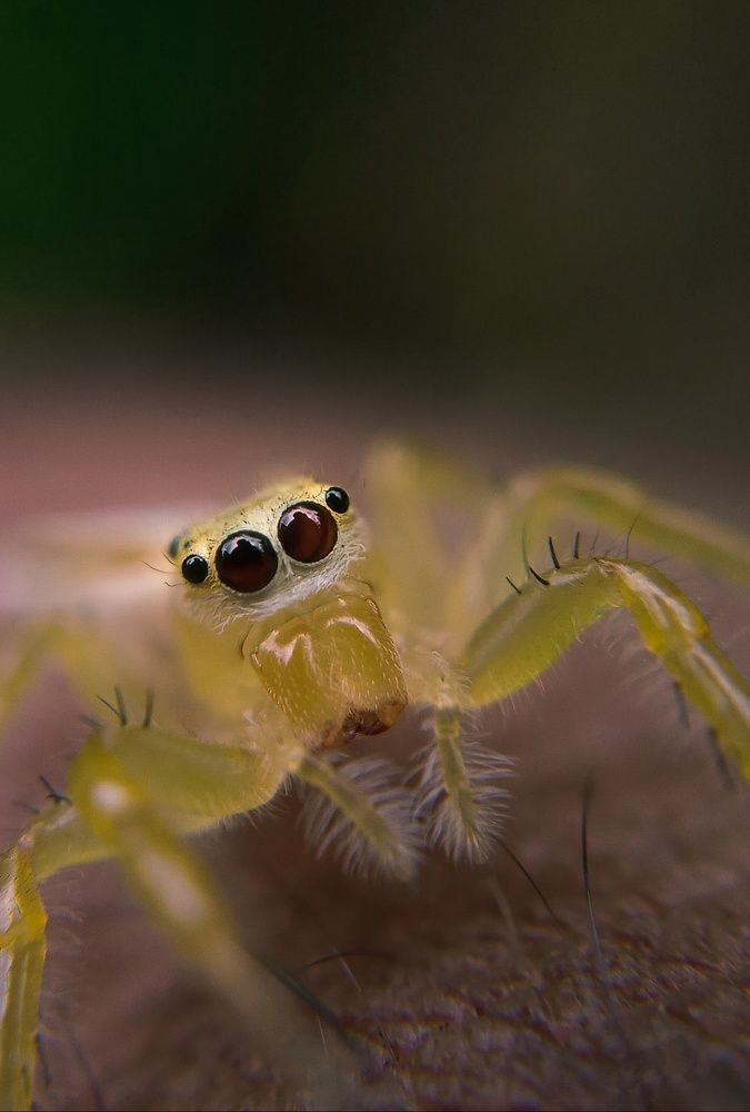 Photograph by Hasaral Abeyrathna