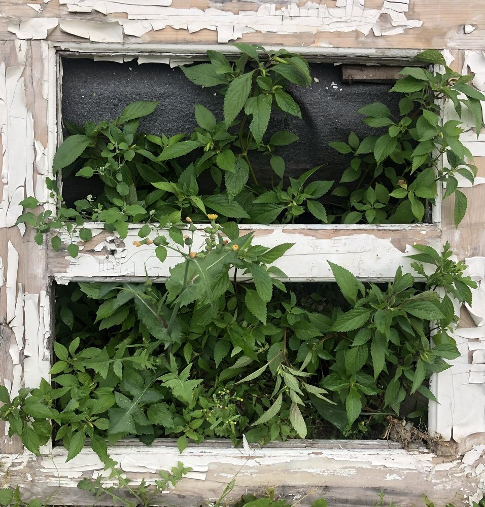 Photograph by Елена Саватеева