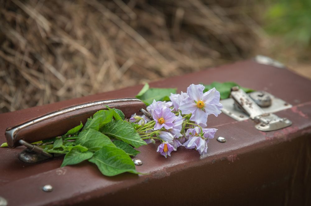 Photograph by Галина Патрушева