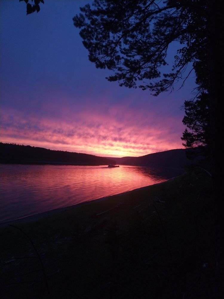 Photo #7892103