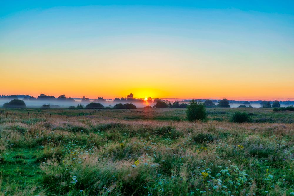 Photograph by Андрей Ныриков