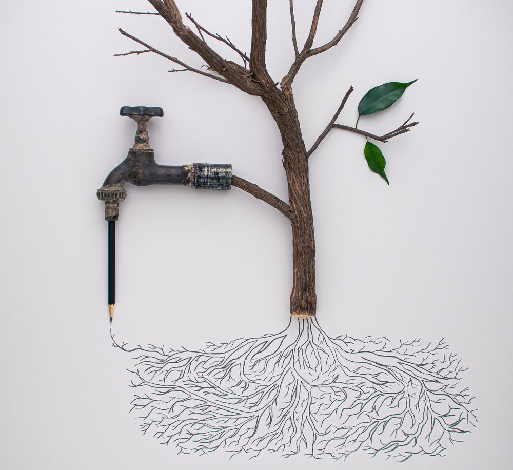 Photograph by amin roshan afshar