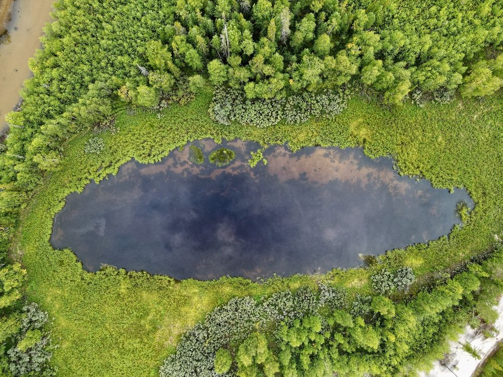 Photograph by Мария Шрейдер