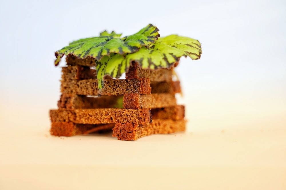 Photograph by Ольга Буянова