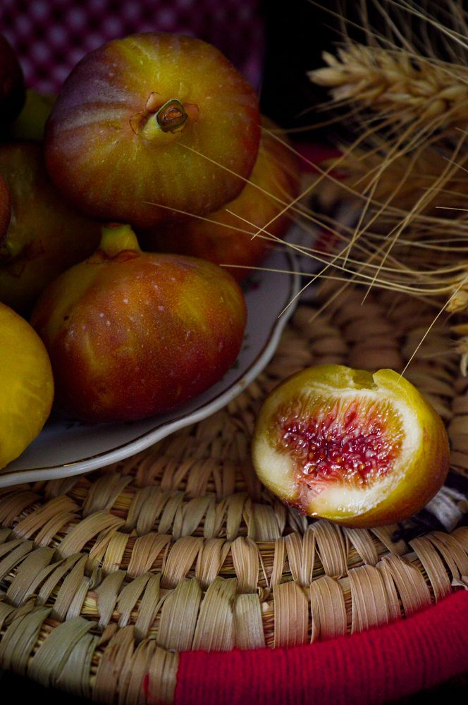 Photograph by javid Hh