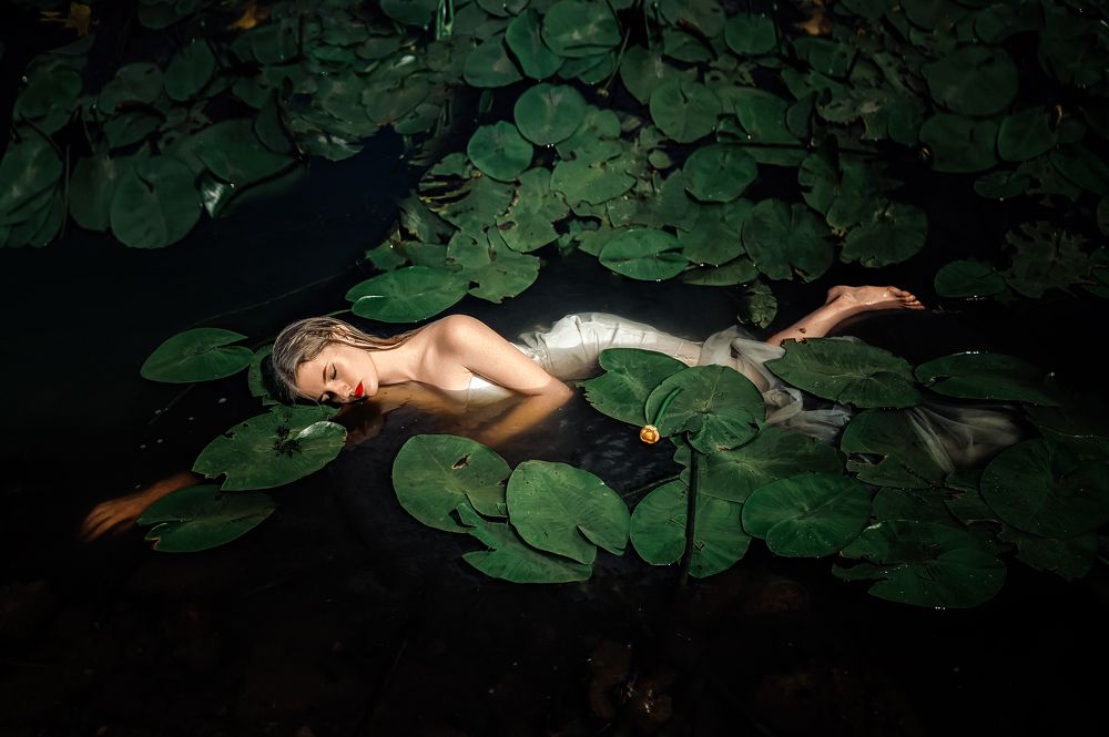 Фотография автора Анисимова Наталия