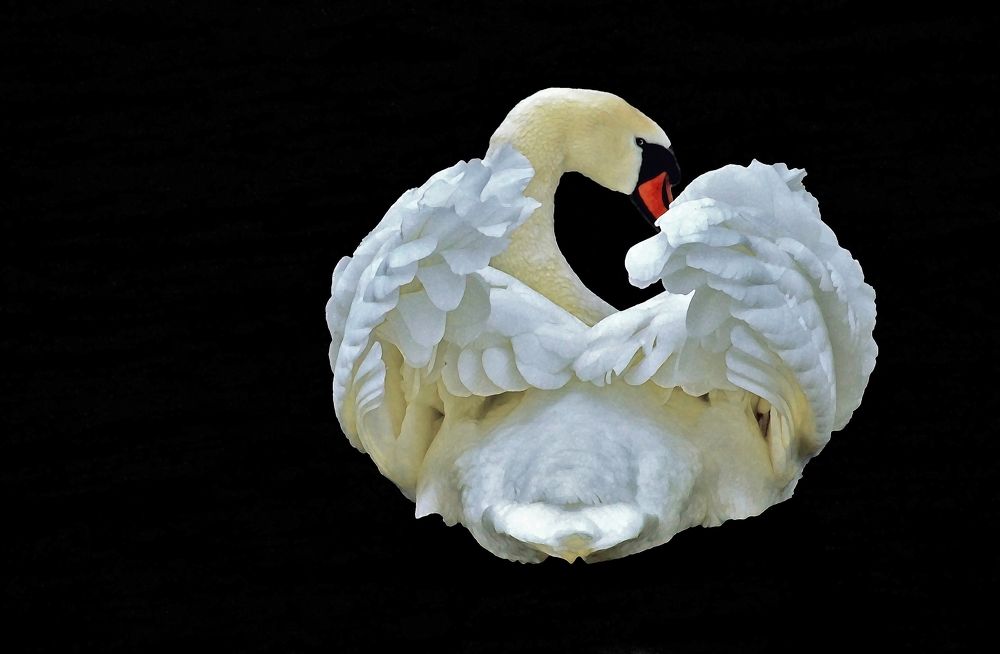 Фотография автора Антип