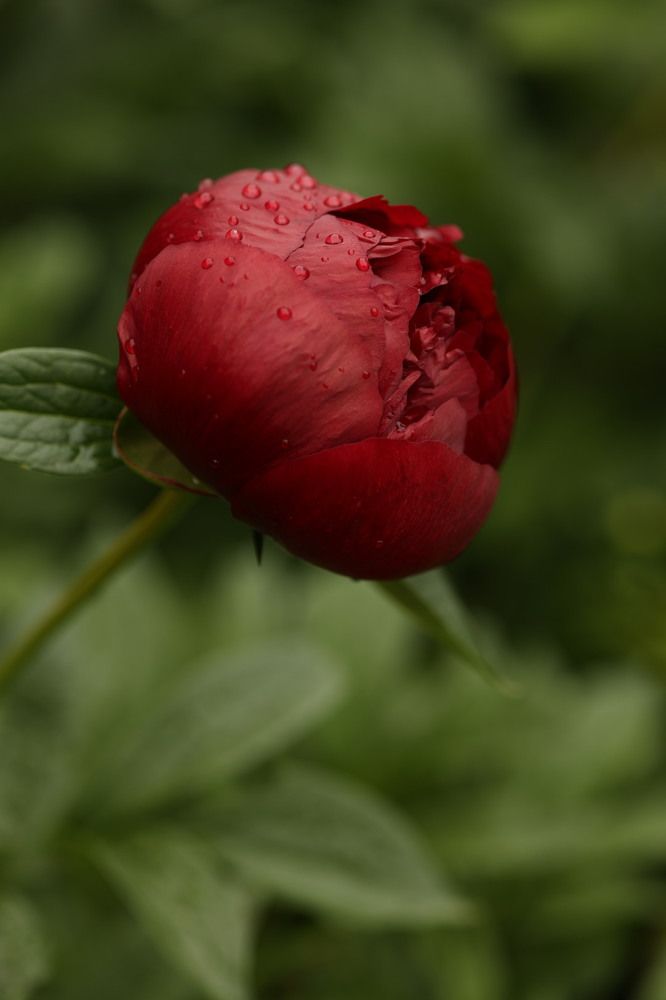 Photograph by Дарья Савиных