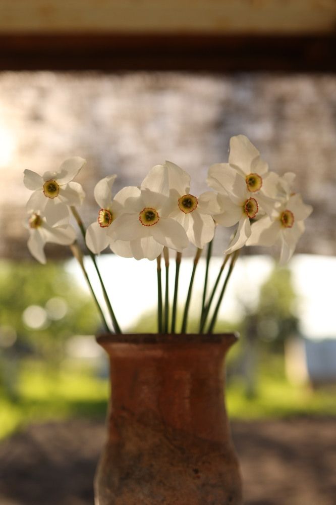 Photograph by Дарья Савиных