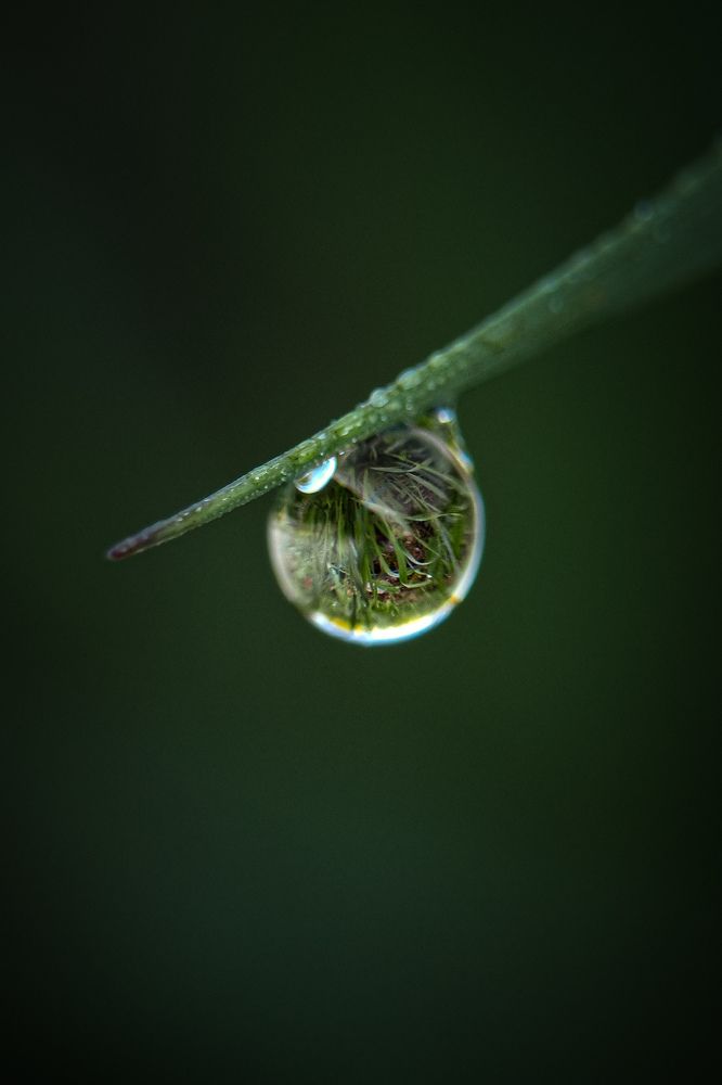 Внутренний мир