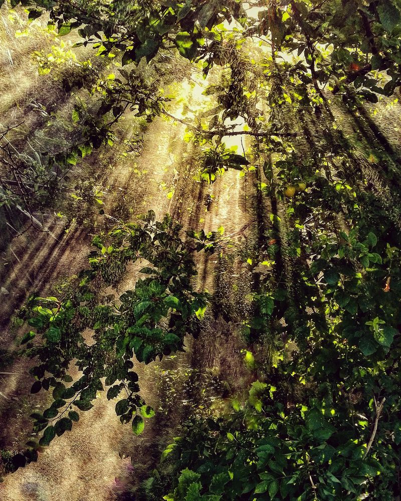 Photograph by Alexandra Sergeeva