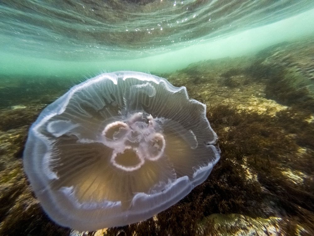 Photograph by Андрей Михайлов