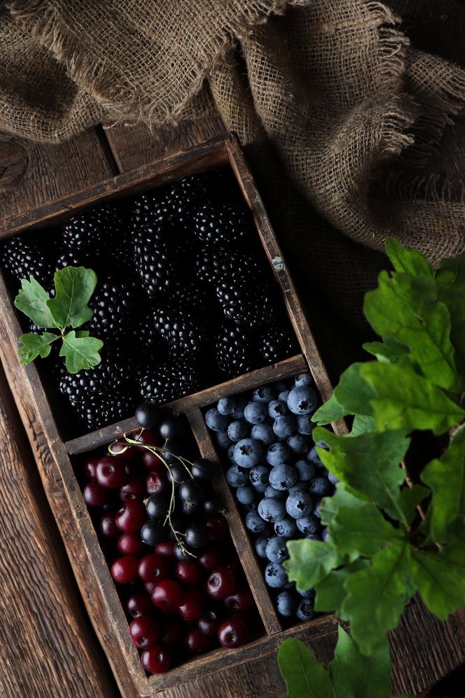 Photograph by Светлана Губич