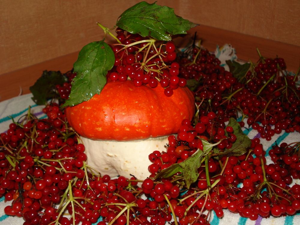 Фотография автора Елена Пикатова