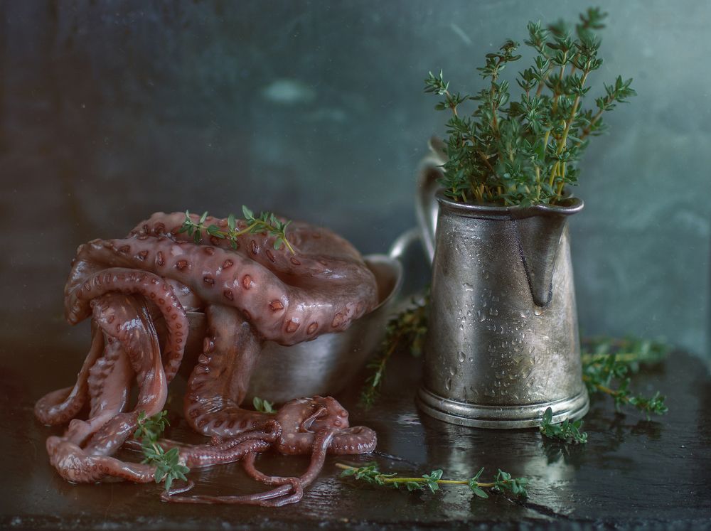 Photograph by Andreeva Svoboda