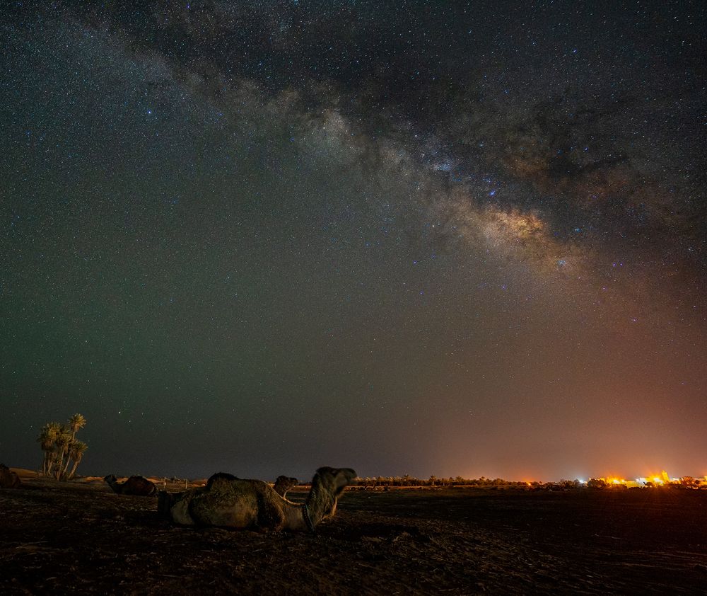 Фотография автора Александър Александров