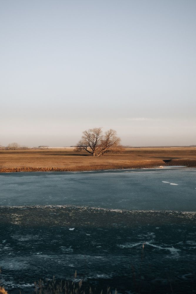 Photograph by Александр