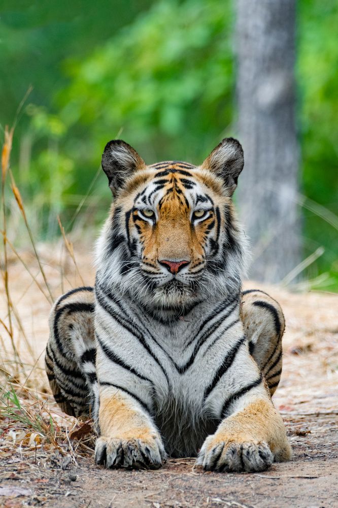 Photograph by Harsh Soni