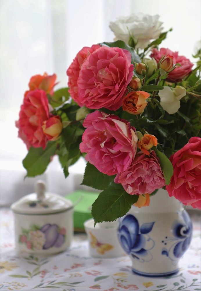 Photograph by Ирина Волкова