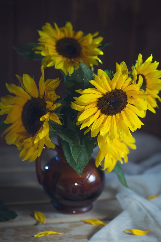 Photograph by Ольга Удилова