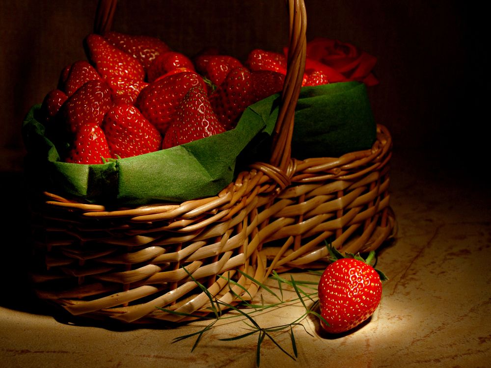 Photograph by Snails Big