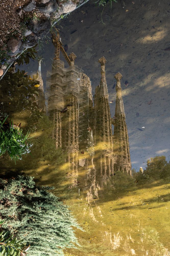 Photograph by Fabio Aristizábal