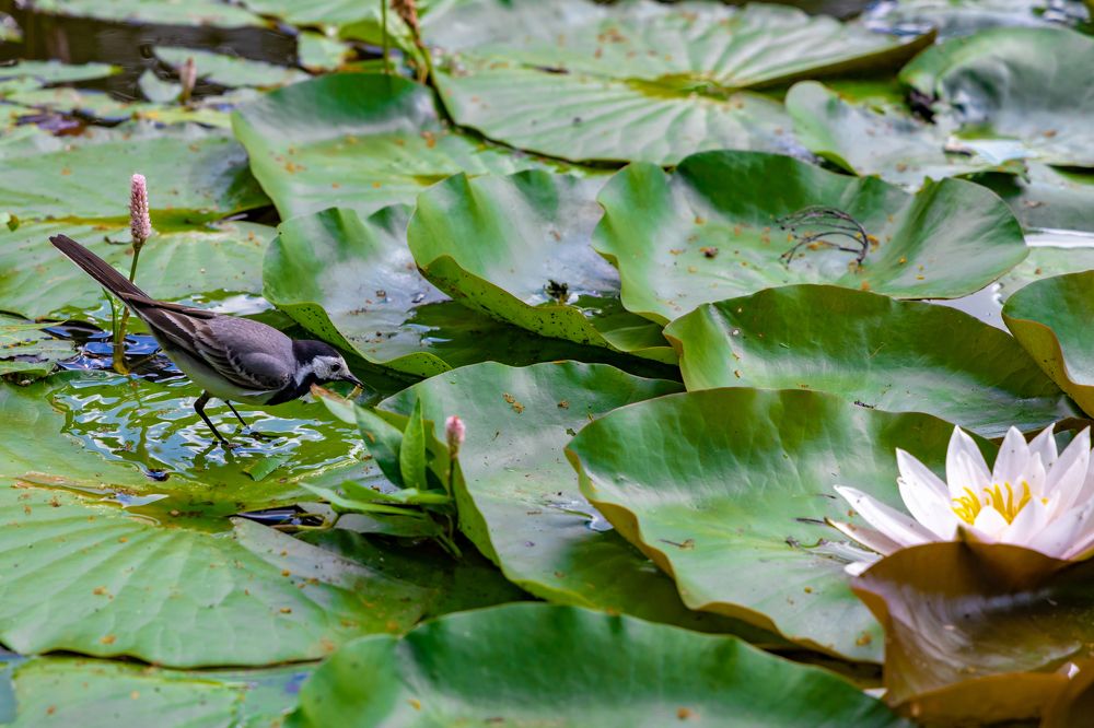 Photograph by Анастасия Малахова