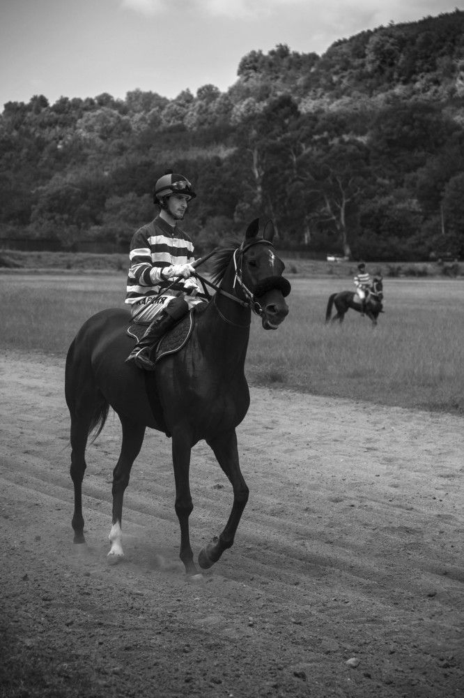 Photograph by Karine Sarkisian