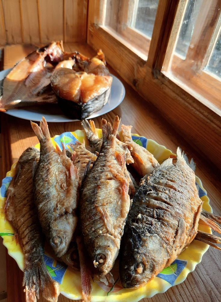 Фотография автора Olga Kunakova