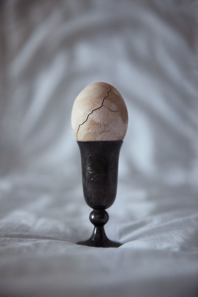 Photograph by Karine Sarkisian