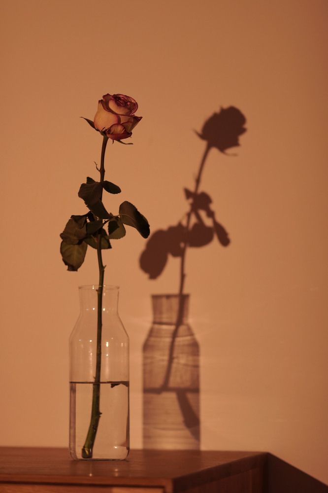 Photograph by Karine Sarkisian