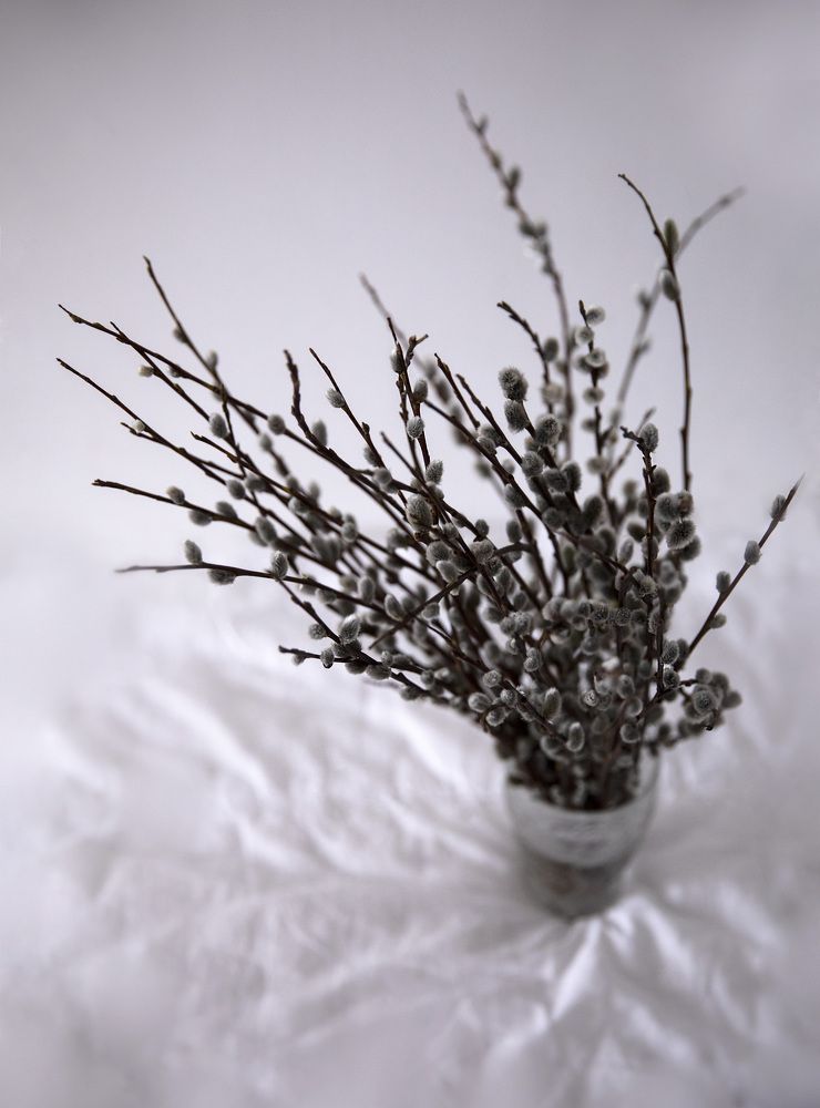 Photograph by Karine Sarkisian