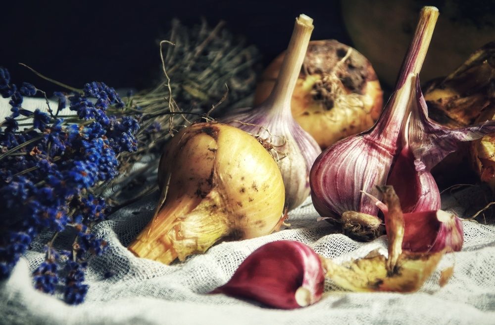 Photograph by Olga Asson