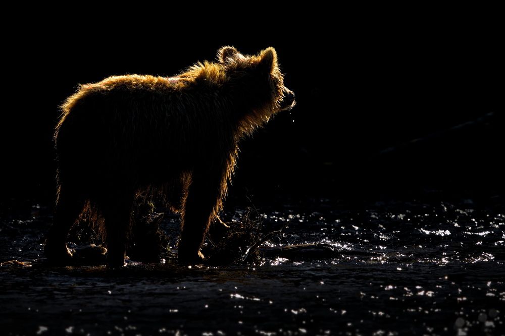 Провожая солнце