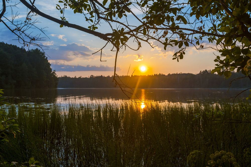 Photograph by Александр Силинский