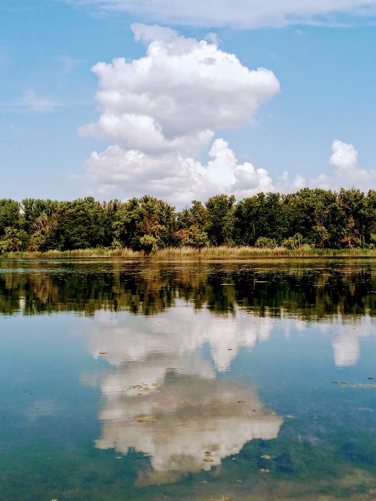 Photograph by Татьяна Пальчикова