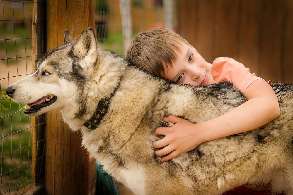 Photograph by Богданова