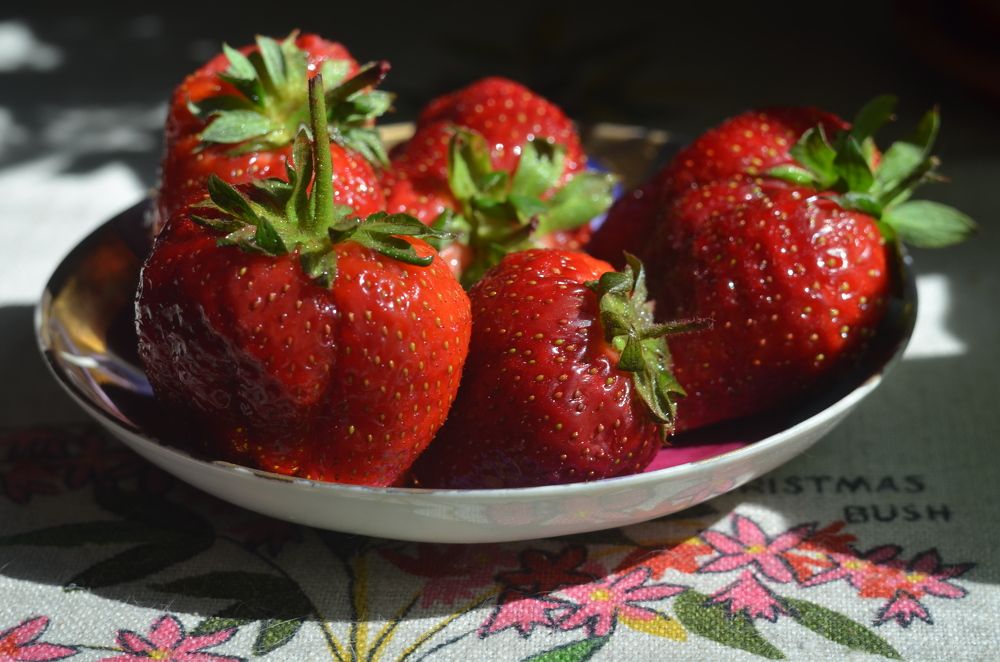 Photograph by Valentina