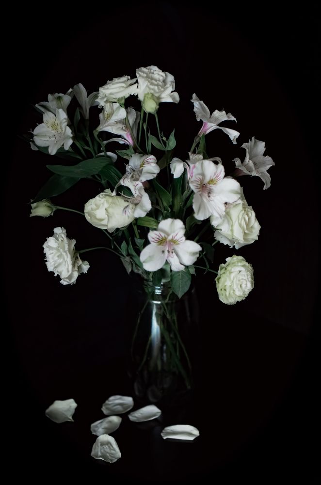 Photograph by Ольга Моисеева